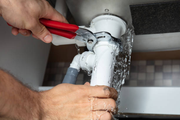 Best Fire Damage Restoration  in Wabasha, MN