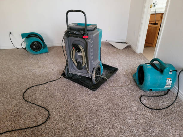 Best Water damage restoration near me  in Wabasha, MN