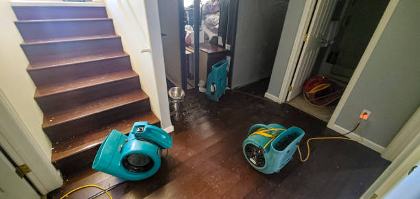 Local water damage restoration in MN