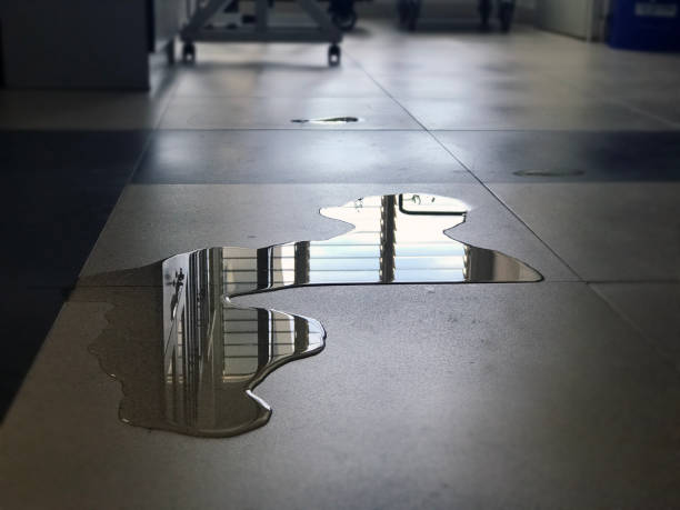 Best 24-hour water damage restoration  in Wabasha, MN