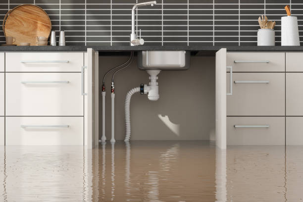 Best Flood restoration services  in Wabasha, MN