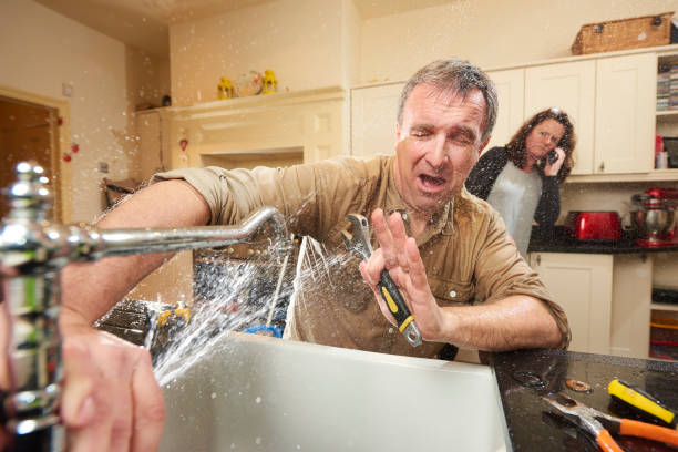 Best Water damage restoration specialists  in Wabasha, MN
